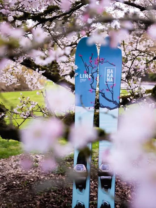 Line Sakana Skis 2024 - Yeager's Sporting Goods