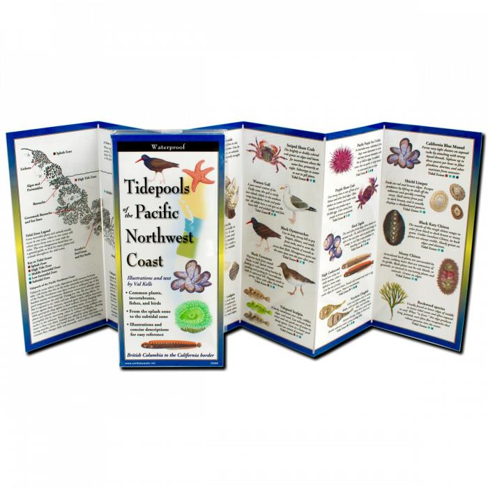 Earth Sky Water Tidepools of the Pacific Northwest Coast - Yeager's ...