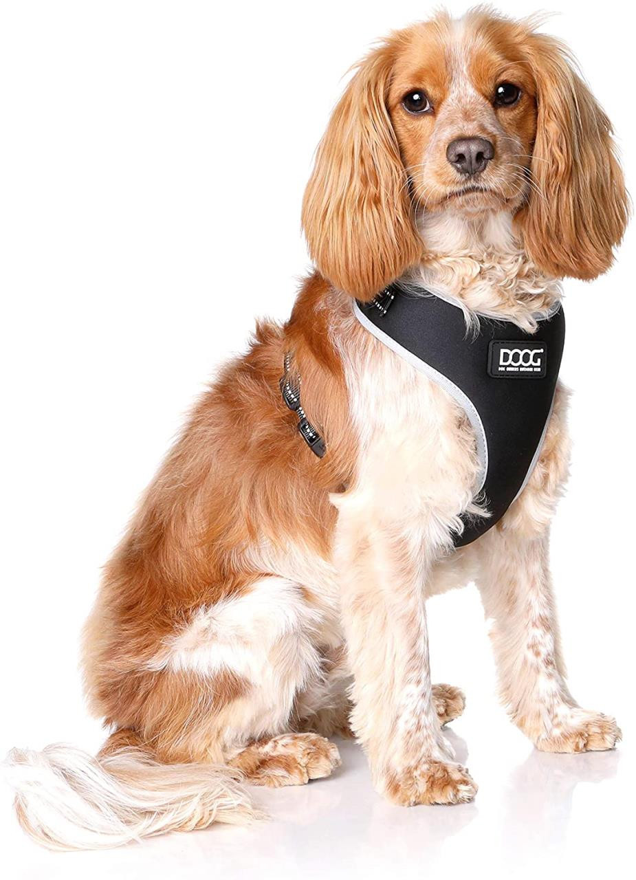 Dadugo Dog Harness Personalized Dog Tags Reflective Adjustable Pet Harness  For Puppy Medium Large Dog Animals Drop Shipping