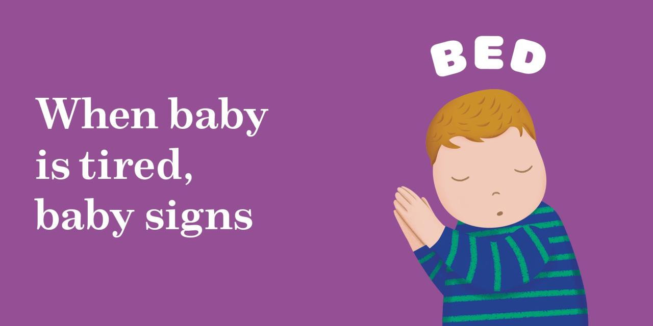 Workman Publishing My First Baby Signs - Yeager's Sporting Goods