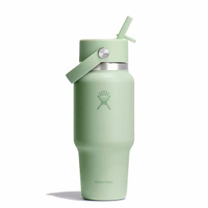 Hydro Flask 24 oz Wide Mouth Travel Bottle with Flex Straw Cap - Aloe - 840394206103