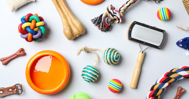 The Benefits of Mentally Stimulating Pet Chew Toys