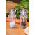 Zyliss Cole & Mason 505 Salt & Pepper Mill Gift Set - 054067505183 Zyliss Cole & Mason 505 Salt & Pepper Mill Gift Set - 054067505183