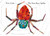 Penguin The Very Busy Spider Boardbook - 9780399229190 Penguin The Very Busy Spider Boardbook - 9780399229190