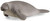 Schleich Manatee - 4059433326108