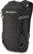 Dakine Heli Pack 12L Backpack - 194626409405