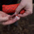 Gear Aid Inc. Heavy-Duty 550 Paracord - Sage/Tan - 021563806908 Gear Aid Inc. Heavy-Duty 550 Paracord - Sage/Tan - 021563806908