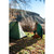 Stansport Eagle 2 Person Backpacking Tent - Forest Green - 011319597105 Stansport Eagle 2 Person Backpacking Tent - Forest Green - 011319597105