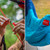 Grand Trunk 360° ThermaQuilt 3-in-1 Blanket, Sleeping Bag & Hammock Underquilt - Blue/Navy Blue - 818453014051 Grand Trunk 360° ThermaQuilt 3-in-1 Blanket, Sleeping Bag & Hammock Underquilt - Blue/Navy Blue - 818453014051