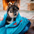 Grand Trunk 360° ThermaQuilt 3-in-1 Blanket, Sleeping Bag & Hammock Underquilt - Blue/Navy Blue - 818453014051 Grand Trunk 360° ThermaQuilt 3-in-1 Blanket, Sleeping Bag & Hammock Underquilt - Blue/Navy Blue - 818453014051