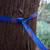 Grand Trunk Trunk Straps - Hammock Suspension Straps - Blue - 818453011661 Grand Trunk Trunk Straps - Hammock Suspension Straps - Blue - 818453011661