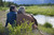 Coleman Co. Inc. Dunnock™ Cold Weather Sleeping Bag - 076501048711 Coleman Co. Inc. Dunnock™ Cold Weather Sleeping Bag - 076501048711