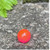 Bnr Tackle Soft Bead - Red - 816324002718