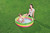 Bestway International Limited Summer Set Pool 27x9 IN - 51128