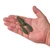 Berkley Powerbait MaxScent Chigger Craw - 028632918371