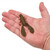 Berkley Powerbait MaxScent Chigger Craw - 028632918371