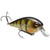 Strike King Lure Co. Squarebill 2.5 - 051034207446 Strike King Lure Co. Squarebill 2.5 - 051034207446