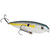Strike King Lure Co. Sexy Dawg Jr - 051034216605 Strike King Lure Co. Sexy Dawg Jr - 051034216605