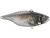 Jackall Lures TN 50/60 Lipless Crankbait - 843459003105
