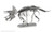 Fascinations Metal Earth Triceratops Skeleton - 032309011012
