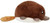 Squishable Baby Platypus 7'' - 841024104868