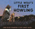 Random House Books Little Wolf's First Howling - 9780763689711 Random House Books Little Wolf's First Howling - 9780763689711