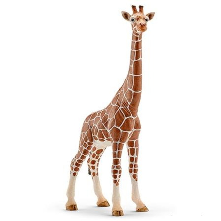 Schleich Giraffe, Female - 4005086147508