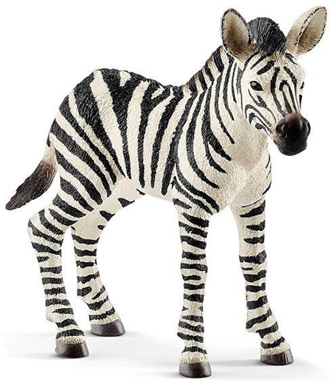 Schleich Zebra Foal - 4055744020797