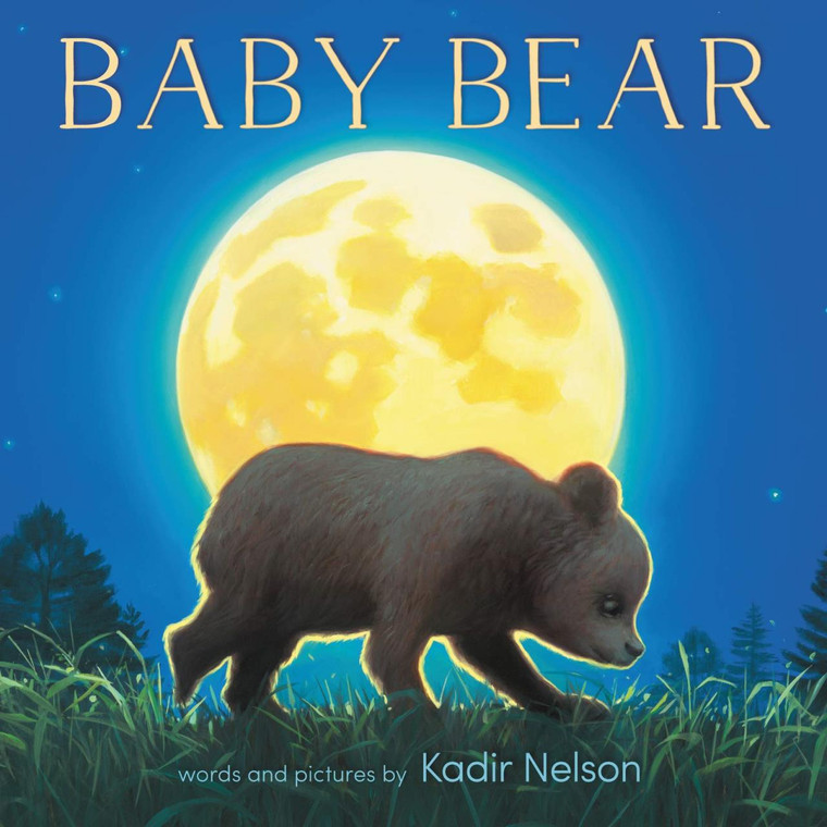 Sterling Publishing Baby Bear Board Book - 9780062931573