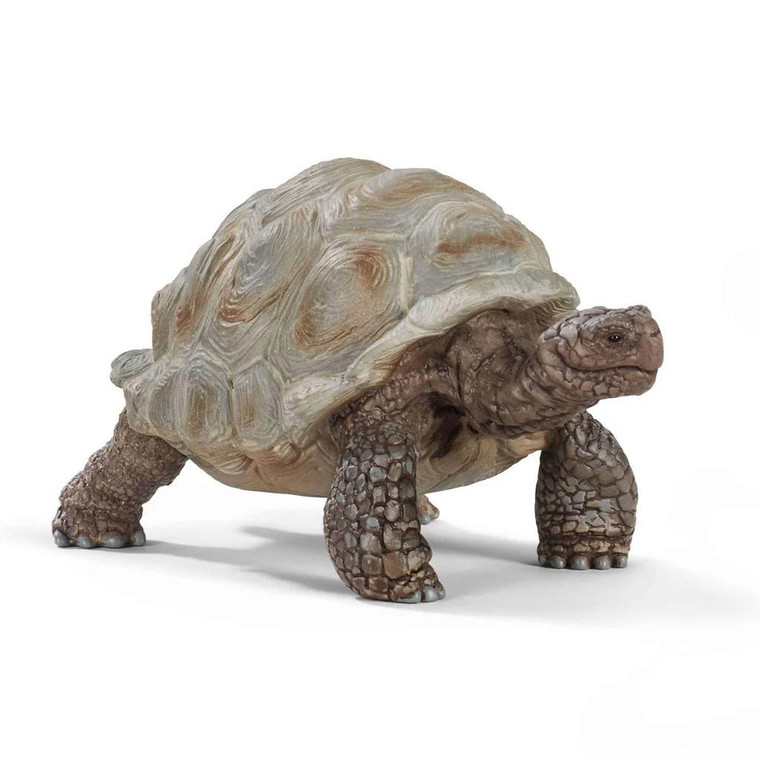 Schleich Giant Tortoise - 4055744033667