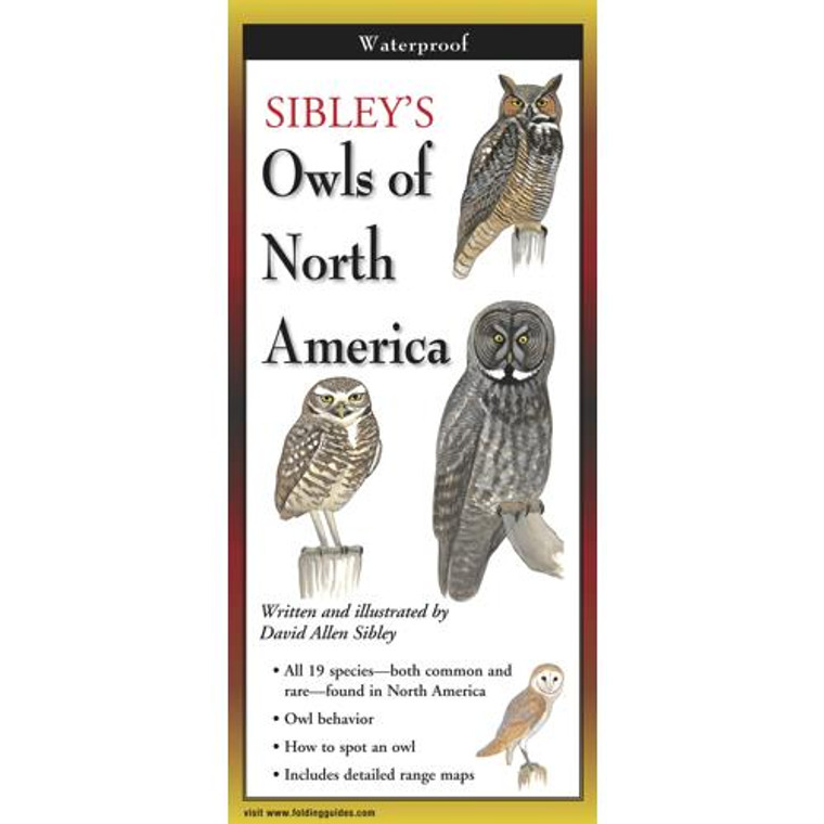 Owls Of North America - 740620901164