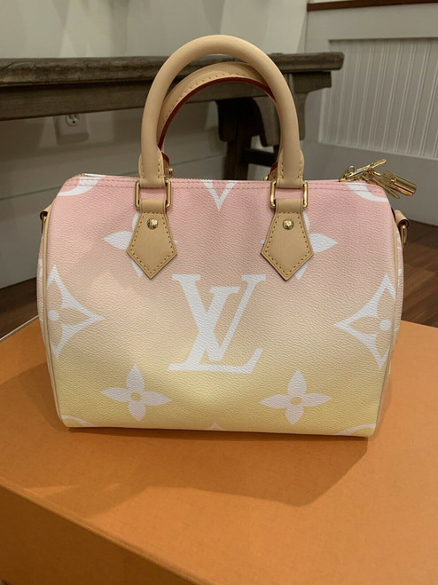 Louis Vuitton speedy 25B by the pool collection NWT