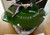 STAUB Enameled Cast Iron La Cocotte de Gohan M 16cm basil green rare NEW JP