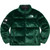 Supreme x The North Face? Faux Fur Nuptse Jacket Green ORDER CONFIRMED