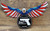 American Flag Flying Eagle Protected by 2nd Amendment Steel Sign