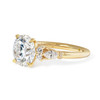 Multi-Stone Brilliant Cut Diamond Engagement Ring-Yellow Gold - side