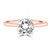 Solitaire Brilliant Cut Cathedral Engagement Ring Rose Gold