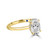 Oval Diamond Engagement Ring with Hidden Halo- Nile