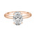 Oval Diamond Engagement Ring with Hidden Halo- Nile