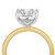 Marrakesh Princess Cut Diamond Engagement Ring- standing view 