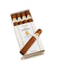 Winston Churchill Robusto - THE STATESMAN