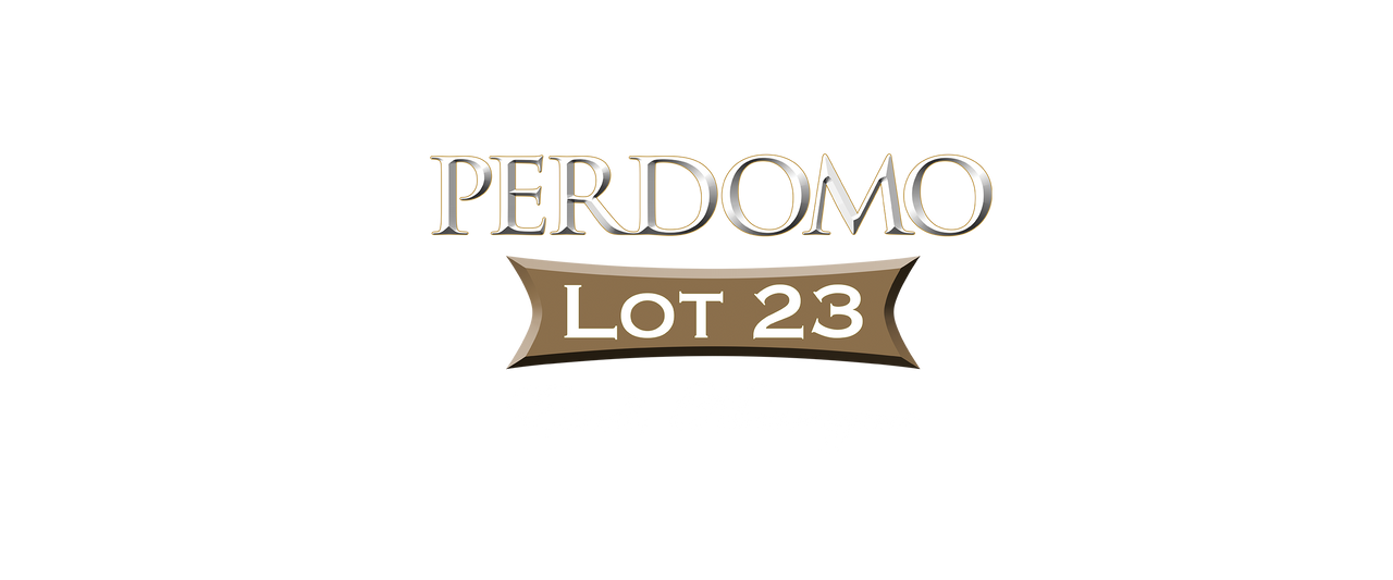 Perdomo Lot 23 Connecticut Belicoso