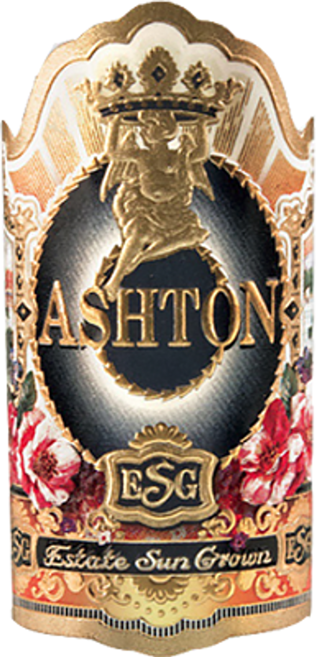 Ashton ESG 21 Year Salute