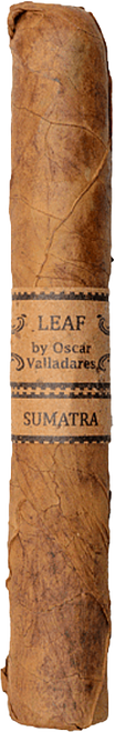 Leaf by Oscar Sumatra Toro