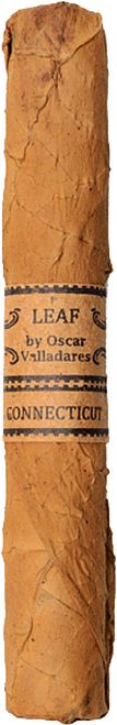 Leaf by Oscar Connecticut Toro