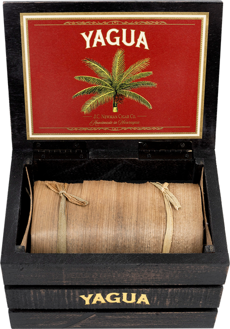 Yagua Toro by JC Newman