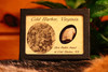 Shot Bullet from Cold Harbor, Virginia with Display Case and COA