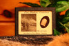 Shot Bullet Relic from Port Hudson, Louisiana with Display Case and COA