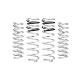 PRO-LIFT-KIT Springs (Front & Rear Springs) E30-35-060-02-22