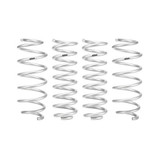 Eibach PRO-LIFT-KIT Springs (Front & Rear Springs) E30-42-058-01-22 